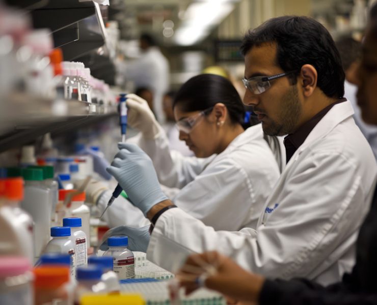 Ch Scientists Working In A Laboratory